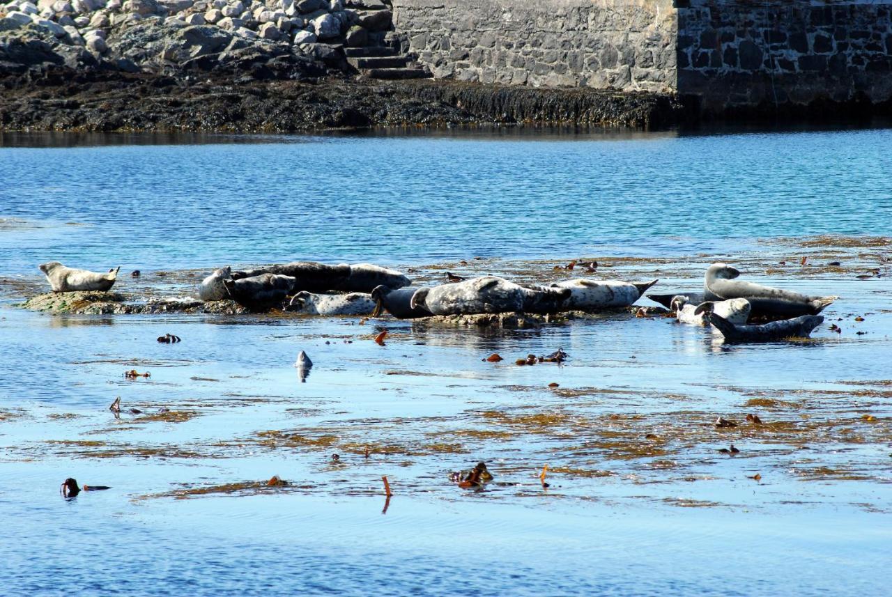 Orsay House Bed & Breakfast Portnahaven Eksteriør bilde